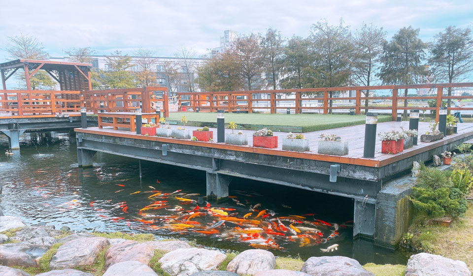 宜蘭落羽軒民宿魚池